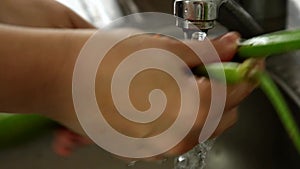 Woman cooking at home - hands washing apio sticks