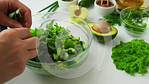 Woman cooking salad of fresh green vegetables and herbs. Raw food concept. Vegan menu. Cooking healthy diet or