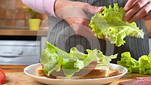 Woman cooking sandwich on the kitchen with salad, bacon and tomato