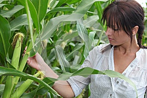 Woman in corn field