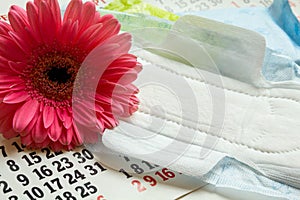 Woman critical days, Menstruation calendar, flower.