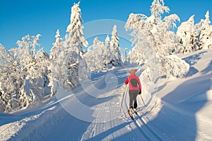 Woman cross country skiing