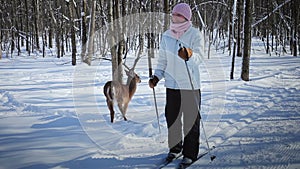 Woman Cross-Country Skiing With Deer