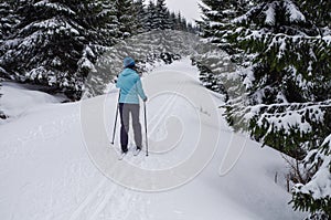 Woman cross-country skiing in the Jizera Mountains