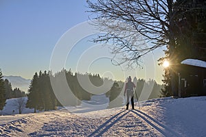 Woman cross-country skiing short before sunset in the Bregenz Forest Mountains