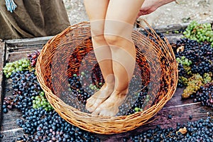 Woman crushes feet of grapes to make wine