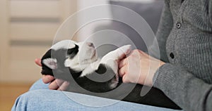 Woman cuddling sleeping black and white puppy