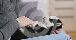 Woman Cuddling Sleeping Black and White Puppy