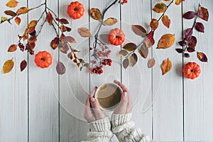 Woman with cup of coffee, leaves, small pumpkins and rowan on white retro wood boards. background. Autumn, fall concept. Flat lay,
