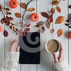 Woman with cup of coffee and tablet, leaves, rowan and small pumpkins on white retro wood boards. background. Autumn, fall concept