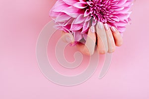 Woman cupped hands with pink manicure holding a flowers