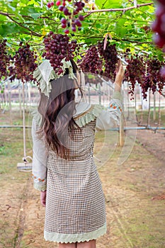 Woman in cute dress holding grapes