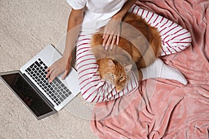 Woman with cute red cat and laptop on light carpet