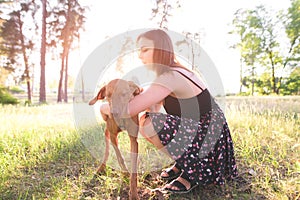 Woman and a cute young dog in the park on the summer day. Walk in the woods on a sunny day