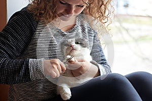 A woman cuts the claws of a cat with nail scissors, pet care