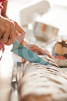 Woman cutting chocolate cake with sugar decoration with kitchen