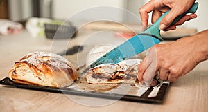 Woman cutting chocolate cake with sugar decoration with kitchen