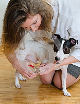 Woman cutting dog claws