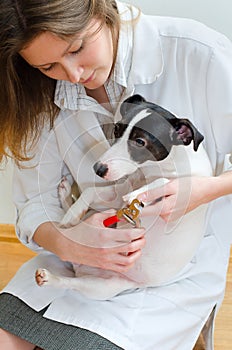 Woman cutting dog claws