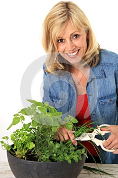 Woman cutting fresh herbs.