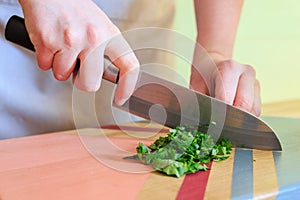 Woman cutting fresh parsley with a big knife on colorful wooden board