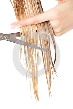 Woman cutting hair