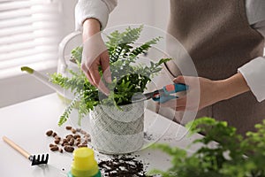 Woman cutting leaf of fern at white table indoors, closeup