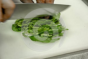 A woman is cutting spinach on a kitchen board