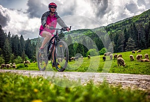 Woman cycling in beautiful nature forest through a flock of sheep