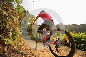 Woman cyclist riding mountain bike on forest trail