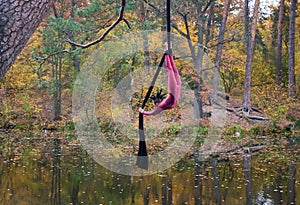 Woman dancing with aerial silk on a trees background.