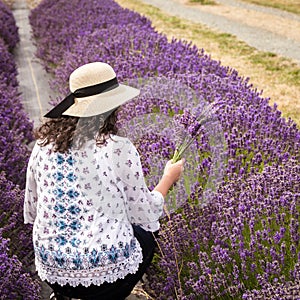 Woman with Dark Curly Hair and Sun Hat Holding Bouquet of Purple Lavender in Lavender Field