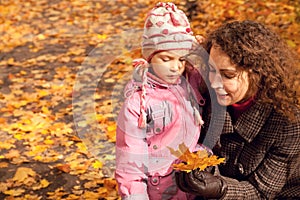 Woman with daughter and collect maple leaves