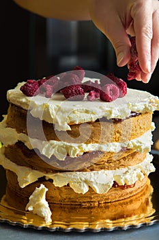 Woman decorating a delicious layered sponge cake with raspberries