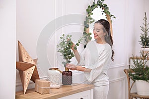 Woman decorating home interior with eucalyptus branches