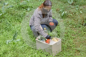 Woman delivering donations box with food during Covid 19 outbreak.Feme volunteer collects food in a box standing on the grass photo