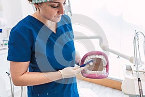 Woman dentist with gloves showing on a jaw model how to clean the teeth with tooth brush properly and right