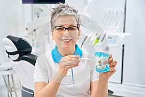 Woman dentist holding demonstrative model of jaw and toothbrush