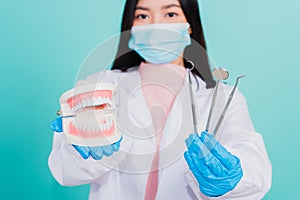 woman dentist holding professional tool and model teeth denture