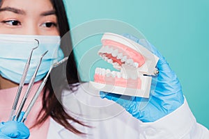 woman dentist holding professional tool and model teeth denture