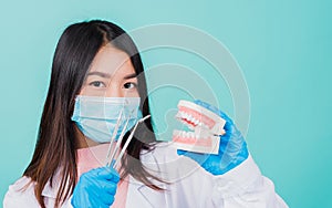 Woman dentist holding professional tool and model teeth denture