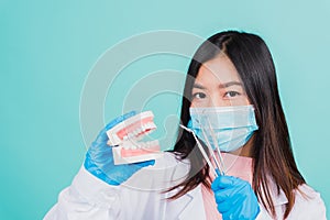 Woman dentist holding professional tool and model teeth denture