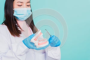 woman dentist holding professional tool and pointing model teeth denture