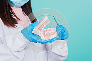 Woman dentist holding professional tool and pointing model teeth denture