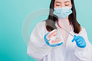 Woman dentist holding professional tool and pointing model teeth denture