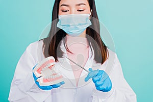 Woman dentist holding professional tool and pointing model teeth denture