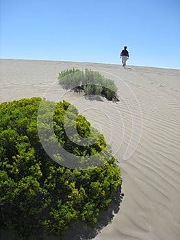 Woman in a desert
