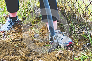 Woman digging soil with garden fork. Gardening and hobby concept. Gardening in the spring