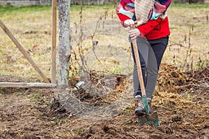 Woman digging with spade in garden