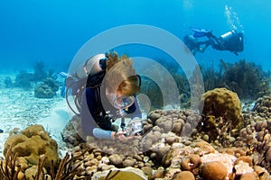 Woman diver photographing the reef